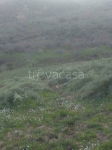 Terreno Agricolo in vendita a Leonforte contrada Montagna di Mezzo, snc