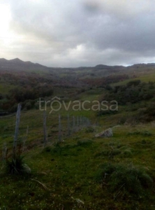 Terreno Agricolo in vendita a Leonforte piazza Carella, 9