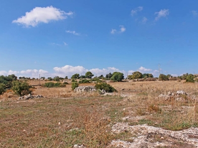 Terreno Agricolo in vendita a Noto noto oliva,1