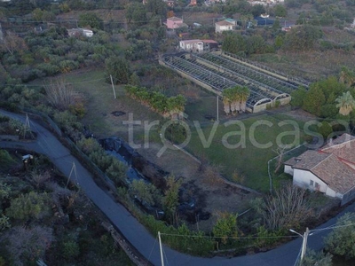 Terreno Agricolo in vendita a Piedimonte Etneo via Castagneto Nuovo
