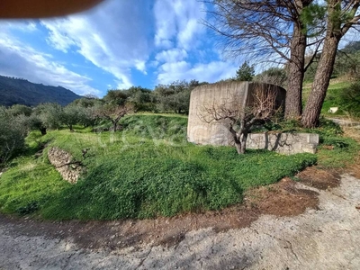 Terreno Agricolo in vendita a Piedimonte Etneo via Difesa
