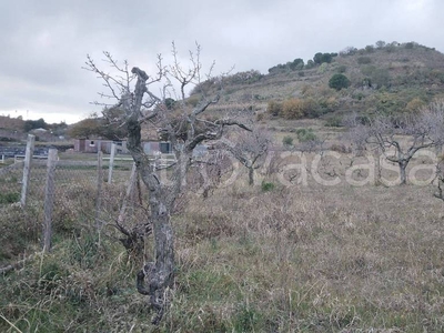 Terreno Agricolo in vendita a Trecastagni via Madonna di Tre Monti
