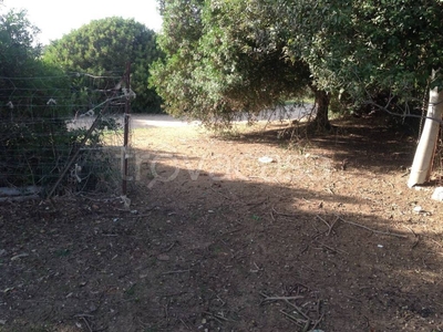 Terreno Agricolo in vendita ad Alghero sa segada s.n.c