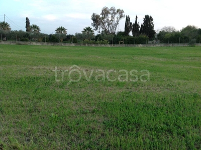 Terreno Agricolo in vendita ad Alghero san quirico s.n.c