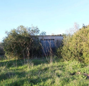 Terreno Agricolo in vendita ad Arzachena loc. Santa Teresina