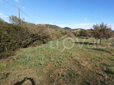 Terreno Residenziale in vendita a Loiri Porto San Paolo via l'Aldiola