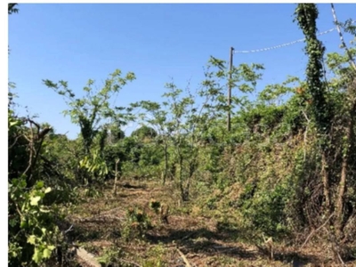 Terreno Residenziale in vendita ad Acireale via Fossazze