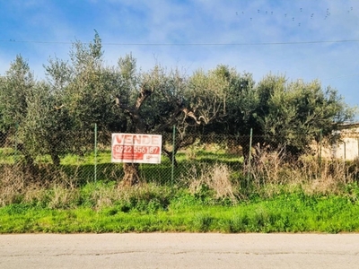 Terreno Residenziale in vendita ad Agrigento agrigento Lago Pergusa,100