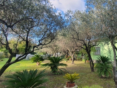 Villa con giardino a Camaiore