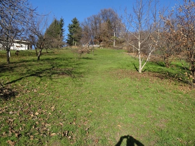 Terreno residenziale in Vendita Dogliani