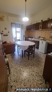 Appartamenti Calcinaia cucina: Abitabile,