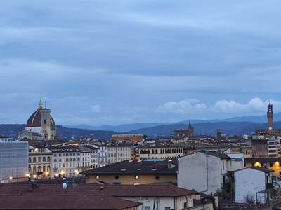 Attico da ristrutturare in zona Centro Oltrarno, Santo Spirito, San Frediano a Firenze