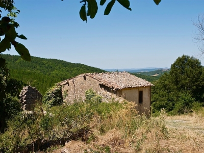 Casa di campagna in vendita 4 Stanze da letto a Castiglione D'orcia