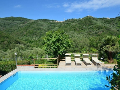 Charming holiday home in an olive grove with large terrace and fenced garden, shared pool