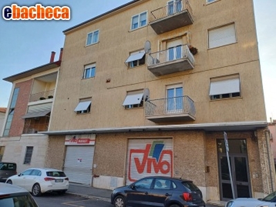 Commerciale Grosseto