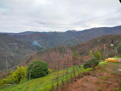 ITALIA PERINALDO, CASA ATIPICA NELLA NATURA