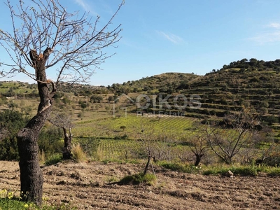 Terreno agricolo in vendita a Noto