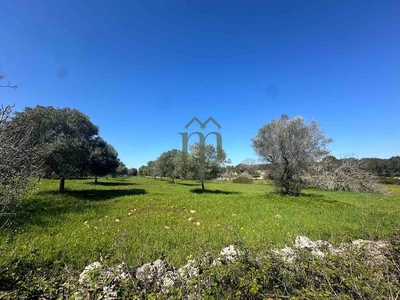 Terreno edificabile in vendita a Carovigno