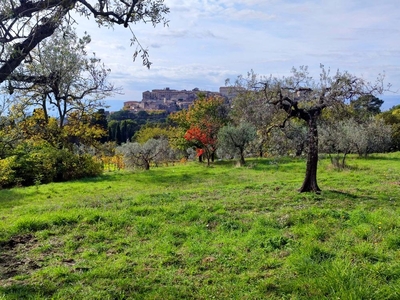 Terreno edificabile in vendita a Lugnano In Teverina