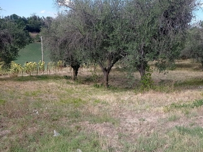 Terreno edificabile in vendita a Monsampietro Morico