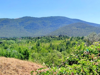 Terreno edificabile in vendita a Montecchio