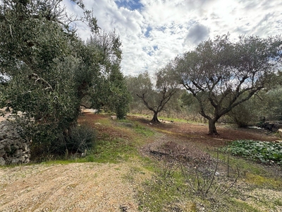 Villa in vendita 1 Stanza da letto a Ostuni