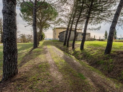 Casa indipendente con giardino a Terricciola