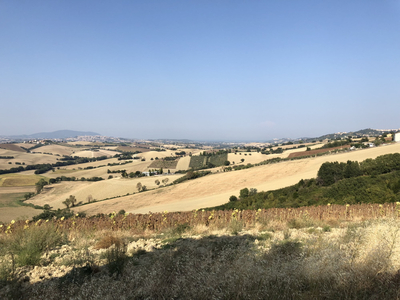 Rustico vista mare a Recanati