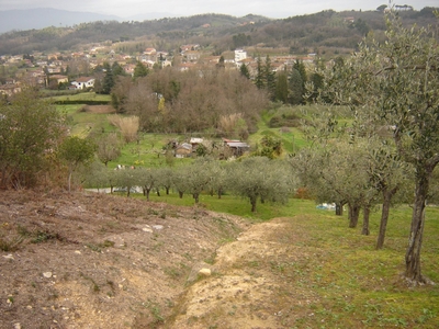 Terreno Agricolo in vendita, Capannori san leonardo in treponzio