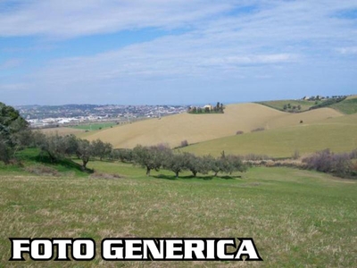 Terreno Agricolo in vendita, San Miniato basso