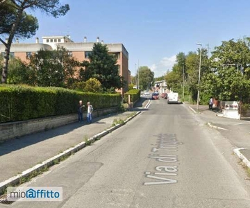 Appartamento arredato Trigoria, spinaceto, tor de cenci, vallerano