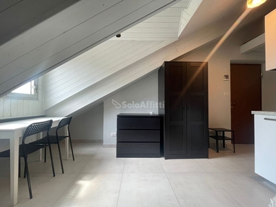 Monolocale in Affitto a Torino, zona San Salvario, 400€, 27 m², arredato