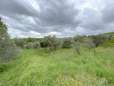 terreno agricolo in vendita a Soriano nel Cimino