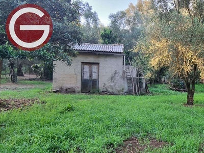 Terreno agricolo in Vendita a Taurianova Contrada Lofrima