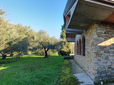 Vendita Villa singola in CAPANNORI