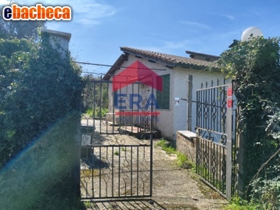 Villa a Zagarolo di 199..