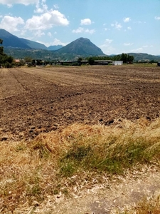 terreno agricolo in vendita a Paestum