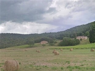 Azienda Agricola In Vendita a Casole d'Elsa: Gioiello Nelle Dolci Colline Toscane