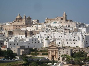 Favolosa Villa Aurora, trullo di 300 anni e app indipendente immersi in bellissimi giardini