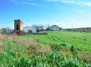 Rustico/Casale/Corte in vendita a Tarquinia - Zona: Campagna