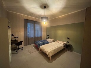 Stanza in Affitto a Torino, zona Lingotto, 300€, 55 m², arredato