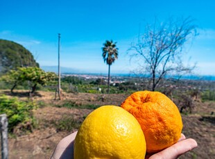 Terreno agricolo in vendita a Giarre