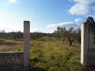 Terreno Agricolo in vendita a Gravina in Puglia