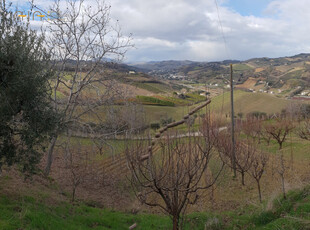 Terreno Agricolo in vendita a Ripatransone