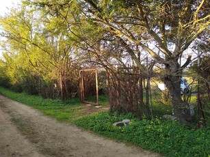 Terreno Agricolo in vendita a Sestu