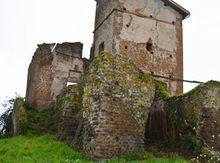 TERRENO AGRICOLO - VIA DELLE PICOZZE, CASTEL SAN PIETRO ROMANO