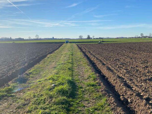 Vendita Terreno Agricolo Roverchiara