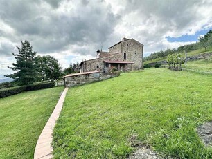 Villa in Vendita a Fiesole - Olmo