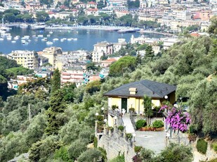 Villa in Vendita a Zoagli VIA CORNICE DI S. AMBROGIO