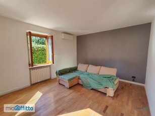 Appartamento arredato con terrazzo Monterotondo scalo